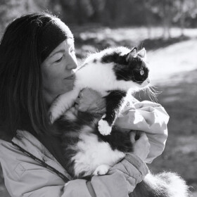 Energy Healing for Animals Fundamentals