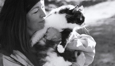 Energy Healing for Animals Fundamentals