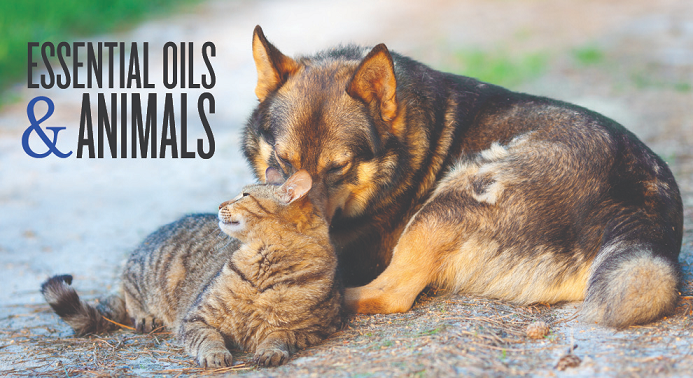 oils