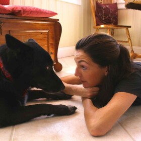 Animal Communication Fundamentals