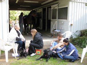 Animal Alchemy 4