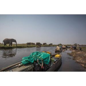 Into the Okavango