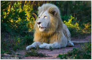 Letaba