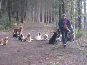Walking with Pam Parker 2