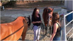 horse energy video- pic