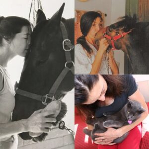 pet one pony boy alexandria
