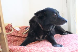 when did this happen