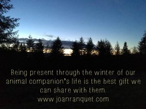 winter gift - death & art of crossing over