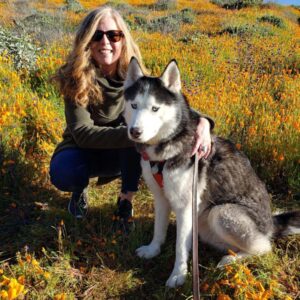 Cynthia Stewart Cynthia Stewart