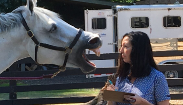 Animal Communication Level 1