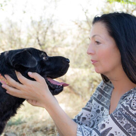 Talk to the Animals: Animal Communication for Beginners