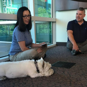 Basic Animal Communication Masterclass