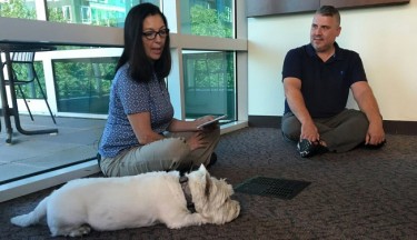 Basic Animal Communication Masterclass