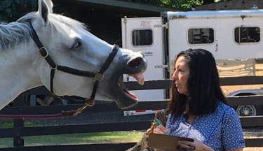 Animal Communication Level 1