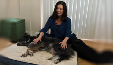 Energy Healing for Animals w/ Scalar Wave
