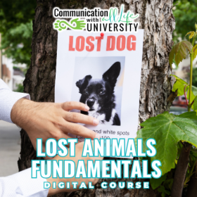 Lost Animals Fundamentals