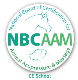 NBCAAM_Alt01