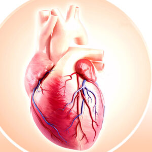 Organs, Meridians & Emotions (O.M.E.)