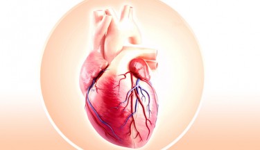 Organs, Meridians & Emotions (O.M.E.)