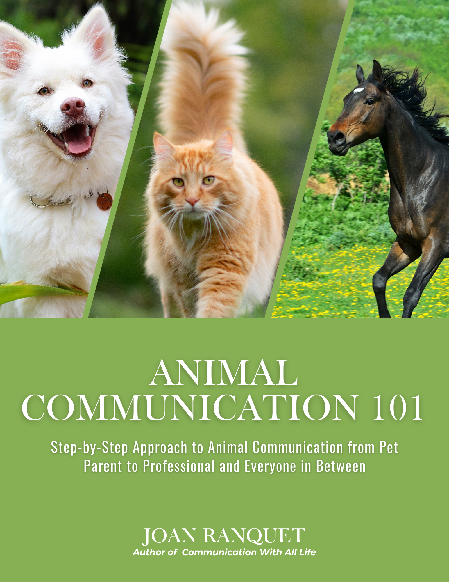 Animal Communication 101, by Joan Ranquet, eBook cover