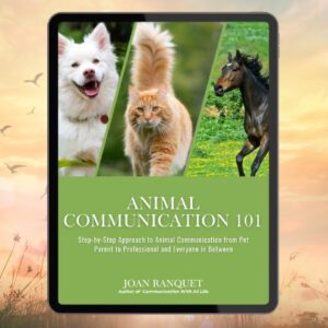 Animal Communication 101 eBook