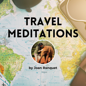 Ease Your Animal Companion’s Anxiety When You Travel – Guided Meditations