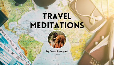 Ease Your Animal Companion’s Anxiety When You Travel – Guided Meditations