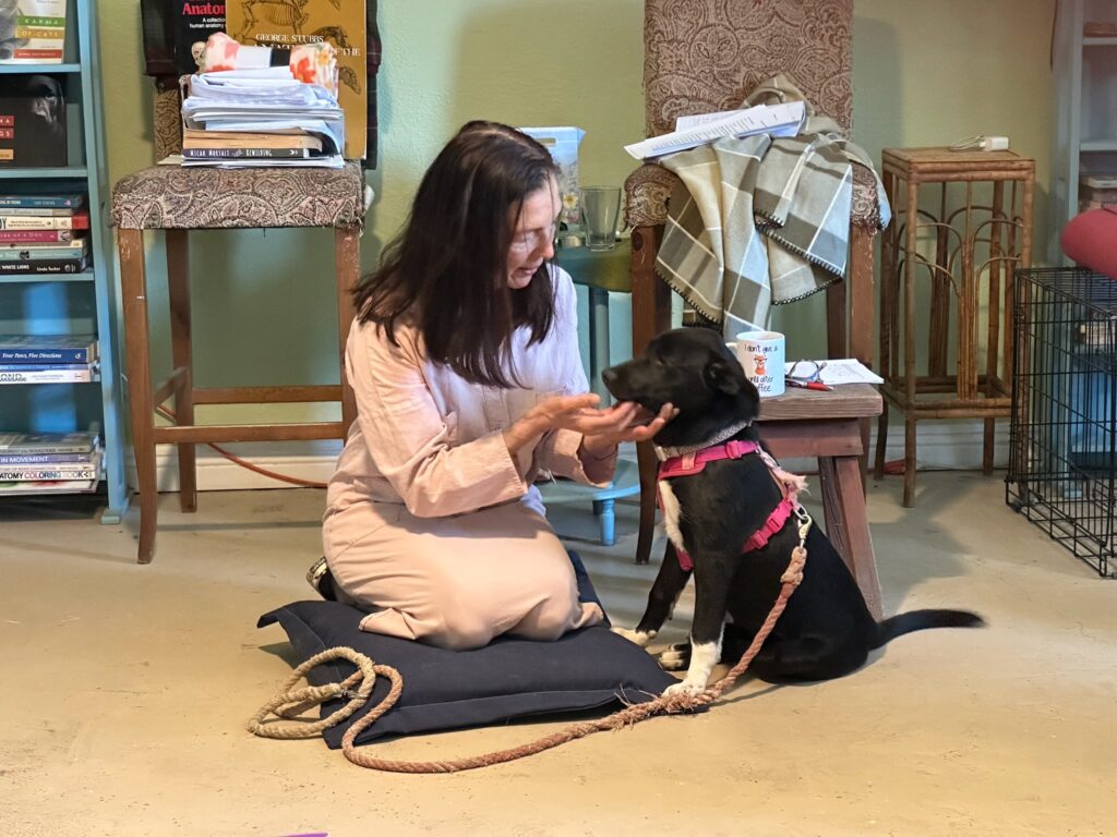 60e797f8-3004-439f-b83e-9adb953e4718