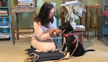 Animal Communication Made Simple