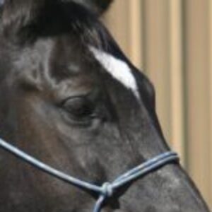 Profile photo of Carla